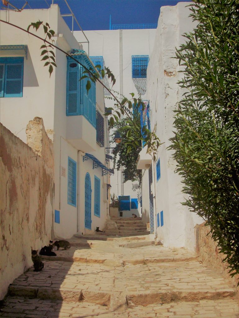 Ruelle du village de Sidi Bou Saïd (Tunisie).