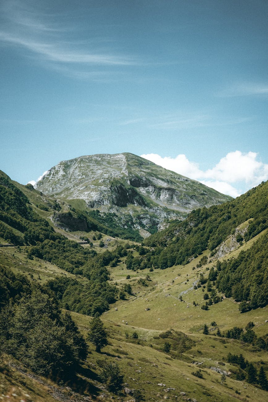 Randonnées en forêt d’Iraty